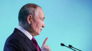 Cremlino,europei si intromettono inutilmente in piano pace