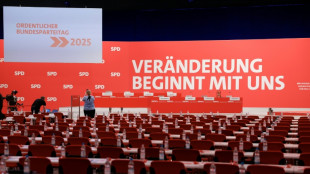 SPD will auf Parteitag zum Abschluss &uuml;ber AfD-Verbotsverfahren beraten