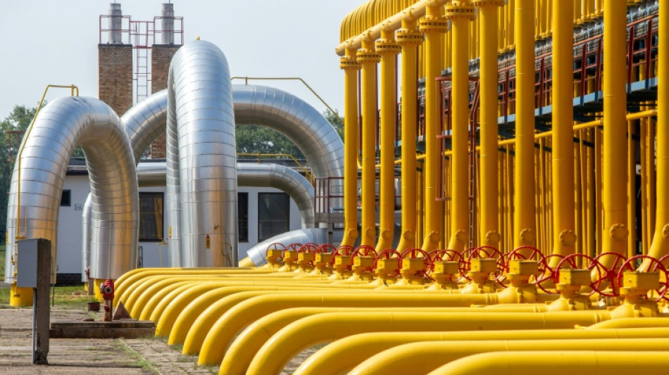 Niedriger Füllstand in Gasspeichern: Grünen-Politiker besorgt - Regierung beruhigt