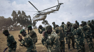 Combats dans l'est de la RDC: Huit Casques bleus tu&eacute;s dans le crash de leur h&eacute;licopt&egrave;re