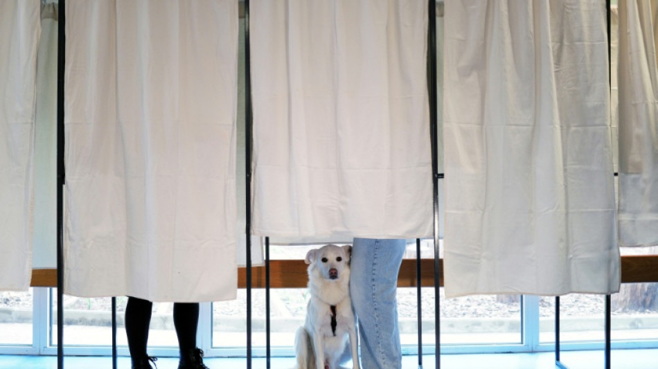 French elect mayors in key cities including Paris