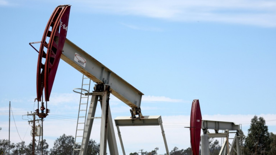 IEA erwartet &Uuml;berproduktion von &Ouml;l im kommenden Jahr trotz K&uuml;rzungen der Opec