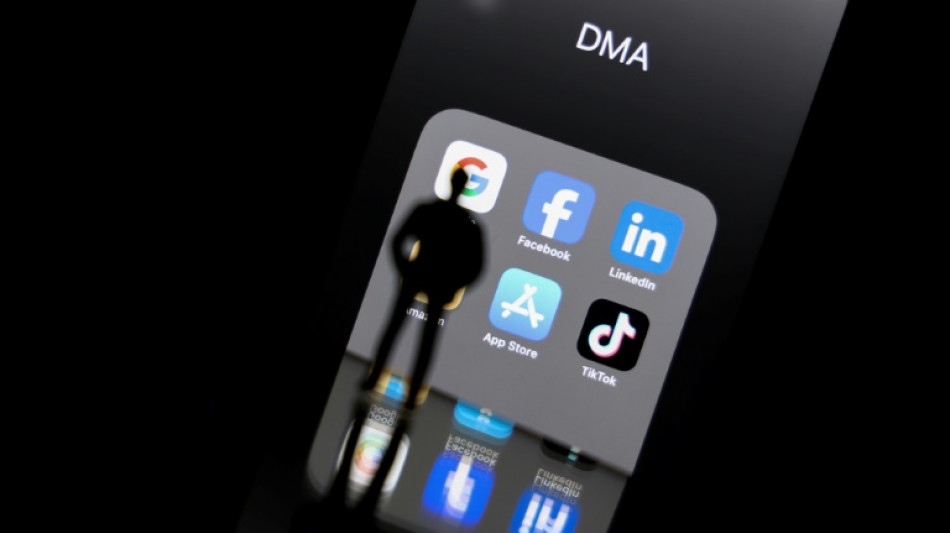 Porno-App nun auf iPhones verf&uuml;gbar - Apple macht EU verantwortlich