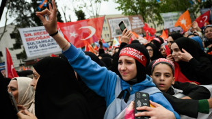 Erdogan mobilisiert seine Anh&auml;nger zum Wahlkampfabschluss in Istanbul