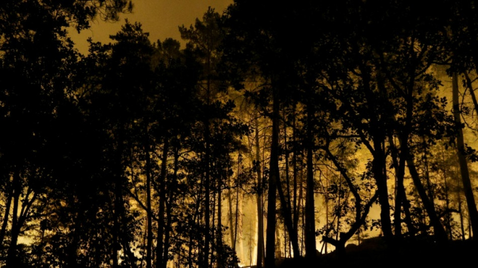 Incendio arrasa m&aacute;s de 1.300 hect&aacute;reas del emblem&aacute;tico bosque de Fontainebleau, cerca de Par&iacute;s