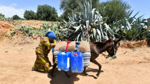 Tunisie: dans l'arri&egrave;re-pays, un village en qu&ecirc;te d'eau
