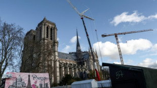 Trump acudirá a la reapertura de Notre Dame en París