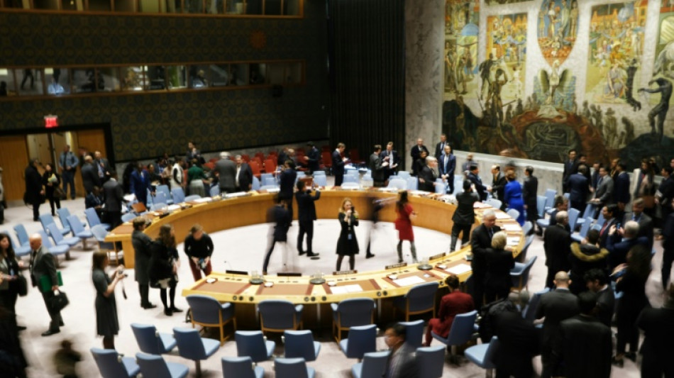 Le Conseil de s&eacute;curit&eacute; de l'ONU prolonge ses n&eacute;gociations sur l'aide humanitaire transfrontali&egrave;re &agrave; la Syrie