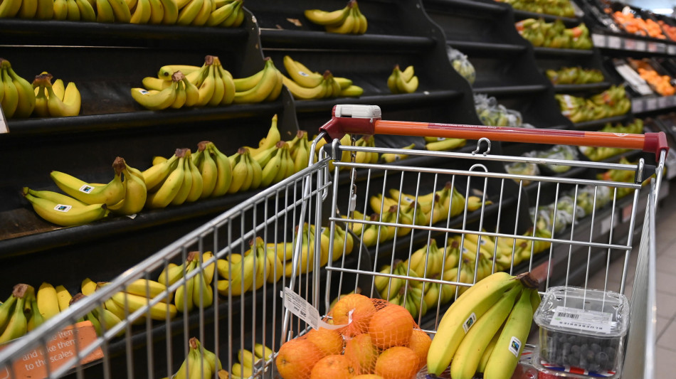 Carrello sempre pi&ugrave; vuoto, dal 2019 la spesa reale &egrave; diminuita del 9%