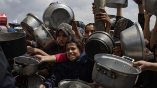 Germania, Francia e Gb: 'Stop al blocco degli aiuti a Gaza'