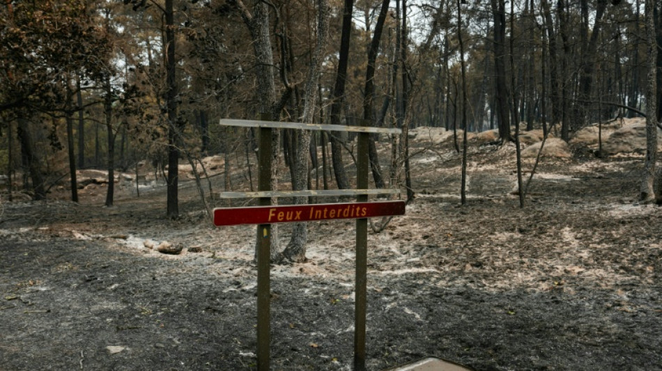 Detenido un nuevo sospechoso por el incendio en un bosque cerca de Par&iacute;s