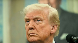 Droits de douane: Trump annonce un accord avec Londres, au périmètre incertain