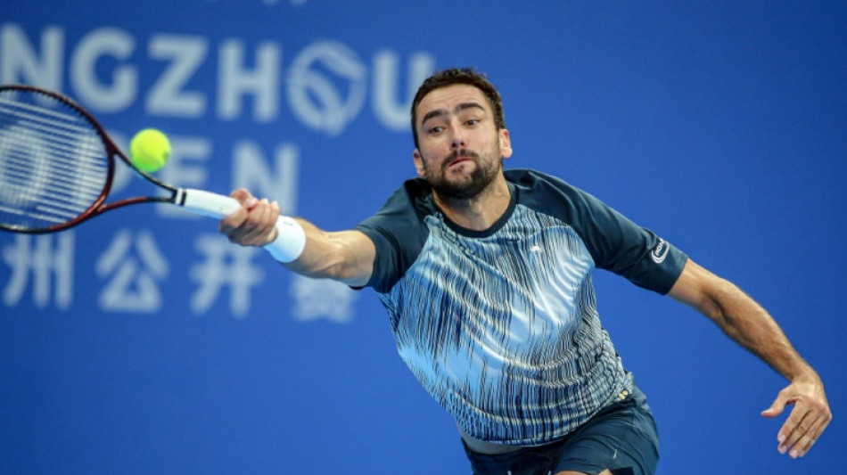 Tennis : Cilic s'impose &agrave; Hangzhou, son premier titre depuis trois ans