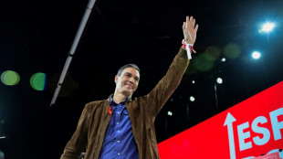 Espagne : Pedro S&aacute;nchez r&eacute;&eacute;lu &agrave; la t&ecirc;te du Parti socialiste sur fond de scandales