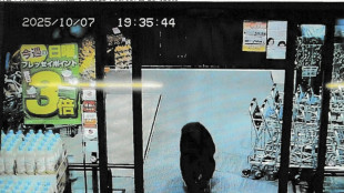 Japon: sept morts dans des attaques d'ours cette année, un record