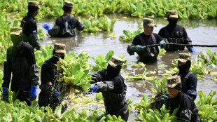Cientos de militares combaten una planta acuática que cubre un lago de El Salvador