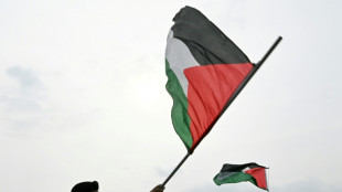 Aktivisten der Gaza-Flotte aus Israel abgeschoben - Proteste in europäischen Städten