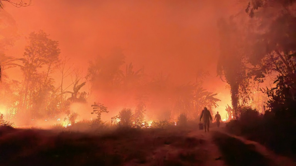 Francia enviar&aacute; un centenar de bomberos a Bolivia para combatir incendios forestales 