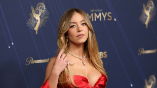 Television stars shine bright on Emmys red carpet