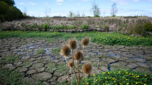 France: 66% des nappes phr&eacute;atiques sous les normales, situation "tr&egrave;s pr&eacute;occupante", selon le service g&eacute;ologique national