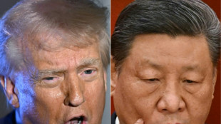 Trump persiste na defesa de tarifas, indiferente ao colapso do mercado de ações