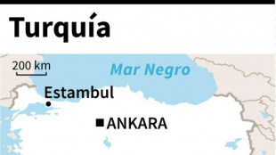 Una explosi&oacute;n en una f&aacute;brica de municiones en Turqu&iacute;a deja 11 muertos