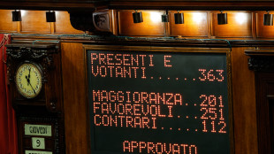 Su Almasri franchi tiratori opposizioni votano con maggioranza