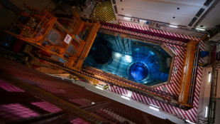 Nucl&eacute;aire: feu vert pour l'exploitation de l'EPR de Flamanville &agrave; pleine puissance (ASNR)