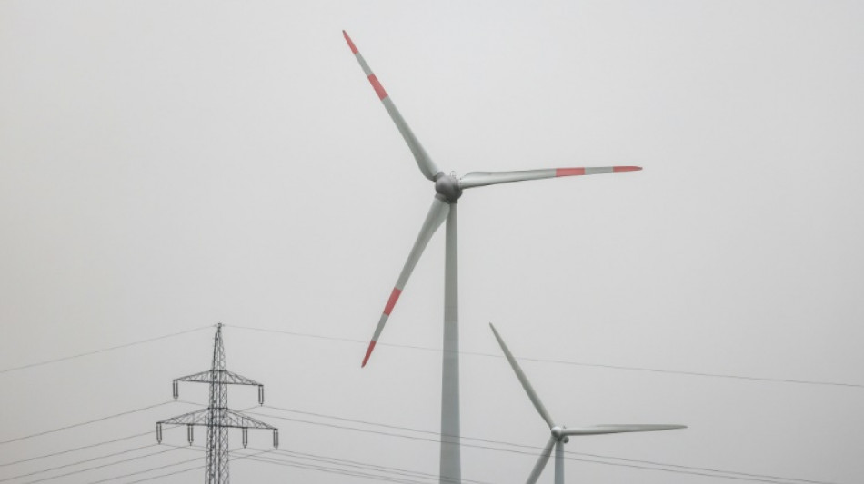 Wirtschaftsweise Grimm fordert regional unterschiedliche Strompreise