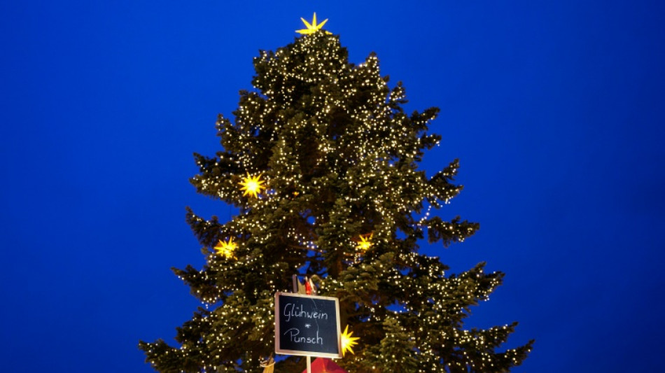 Hundert Weihnachtsb&auml;ume von Supermarktgel&auml;nde in Th&uuml;ringen gestohlen