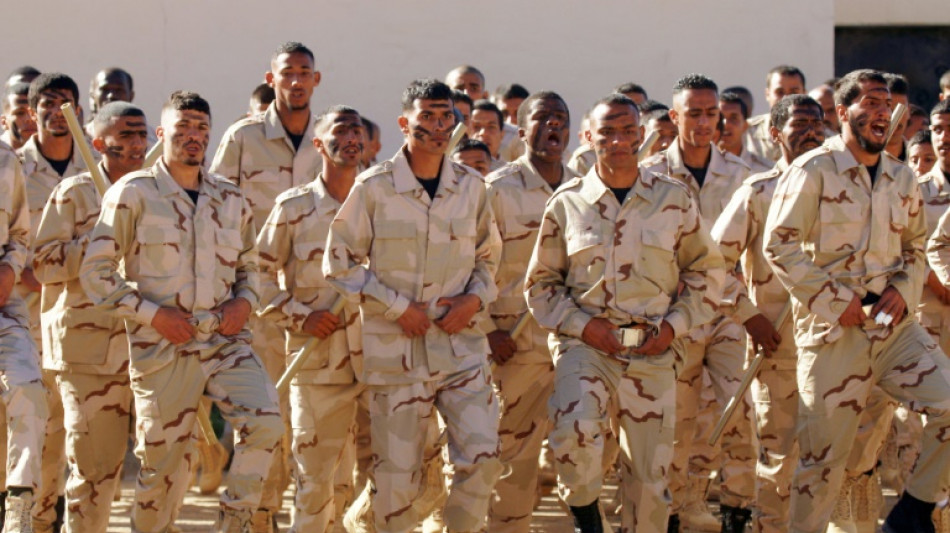 Sending mercenaries to Libya main income source for Darfur armed groups: UN