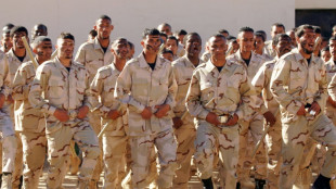 Sending mercenaries to Libya main income source for Darfur armed groups: UN