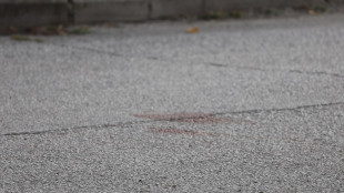 Altoatesino 17enne muore accoltellato in Serbia