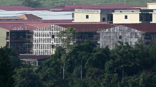 Los centros de ciberfraude prosperan en Birmania con internet satelital de Musk