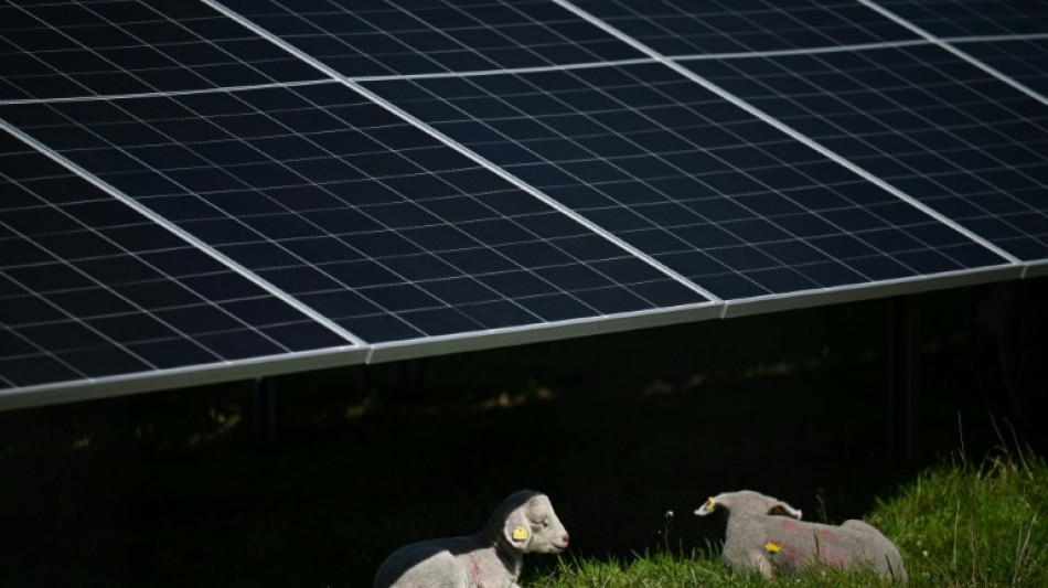 Nach EU-Ermittlung: Chinesische Solarhersteller ziehen Angebote zur&uuml;ck