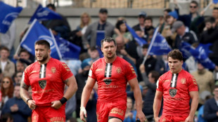 Champions Cup: Toulouse, l'atout fra&icirc;cheur