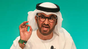 COP-Pr&auml;sident al-Dschaber bekennt sich zu wissenschaftsbasierter Arbeit