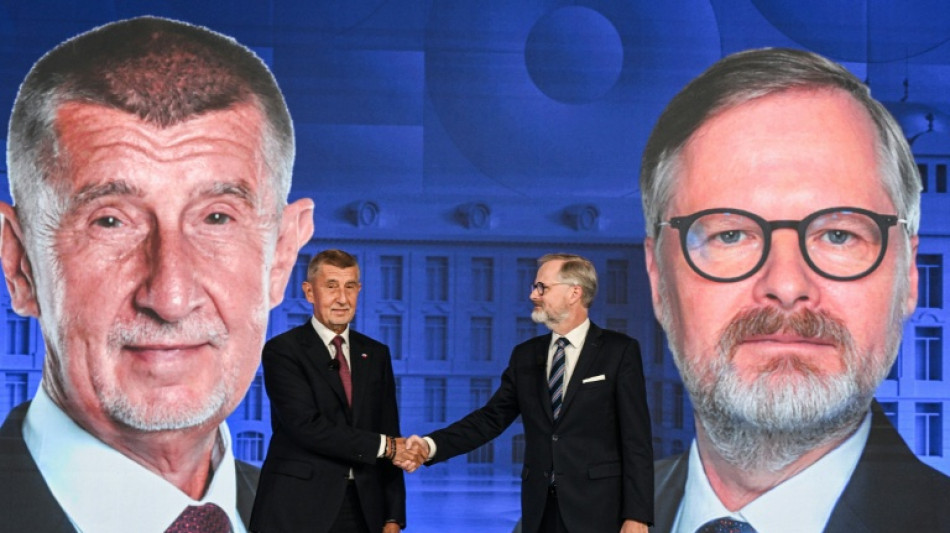 Tschechen wählen neues Parlament - populistischer Ex-Regierungschef Babis Favorit