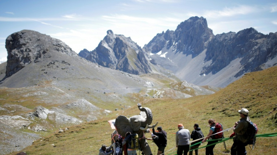 Alpen&uuml;berquerung von Hannibal mit Elefanten: Forscher berechnen g&uuml;nstigste Route