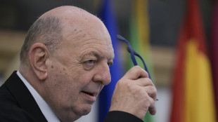 Pichetto, 'rinnovabili e neutralit&agrave; tecnologica per un'energia pi&ugrave; pulita'