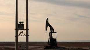 Prezzo del petrolio in calo, Wti scambiato a 60,52 dollari