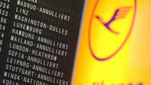 Lufthansa: appel &agrave; la gr&egrave;ve mercredi, retards et annulations attendus 