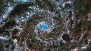 Webb telescope captures new detail of Phantom Galaxy