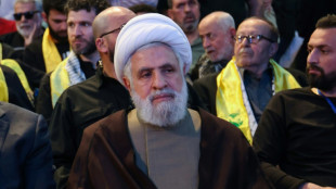 Líder do Hezbollah promete 'cooperar' com exército para aplicar cessar-fogo no Líbano