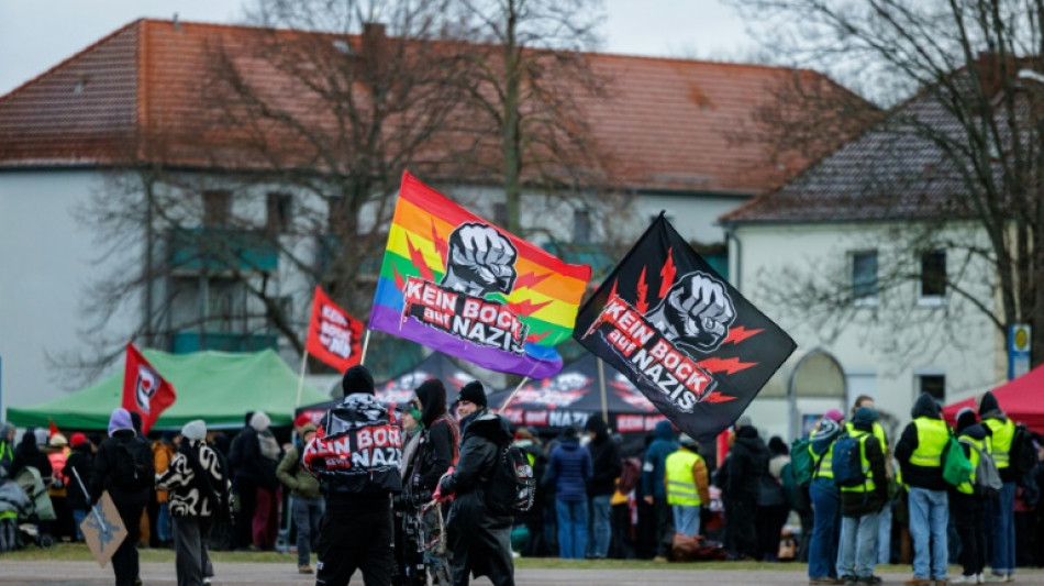 Allemagne : des manifestants retardent un congr&egrave;s de l'AfD