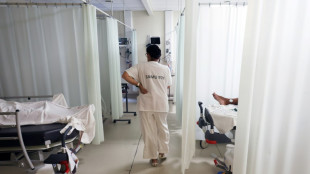 Chikungunya: la sécurité du vaccin continue à poser question