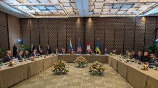 Rusia y Ucrania a punto de proseguir di&aacute;logos en Ginebra mientras EEUU destaca "avances"