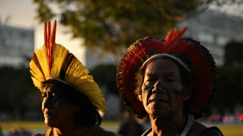 Claves sobre la demarcaci&oacute;n de tierras ind&iacute;genas en Brasil