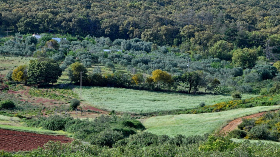 En Tunisie, la permaculture s'&eacute;panouit face aux d&eacute;fis climatiques