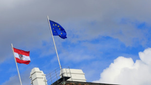 Erstes EU-Land seit Jahren: Österreich schiebt Straftäter nach Syrien ab